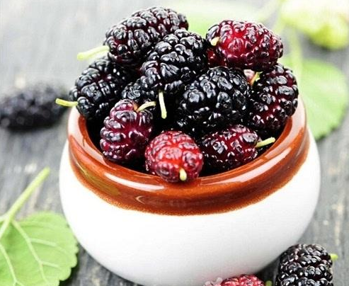 桑葚美味又营养 切不可过量使用哦