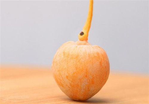 夏季饮食需注意 如何吃出天然美肌